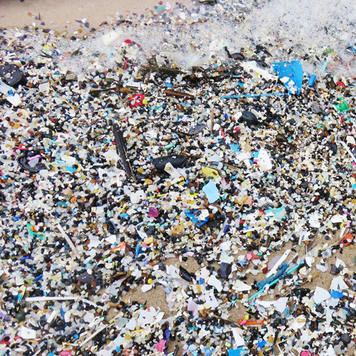 BLOG - Plastics: Issues, Impacts and Alternatives - The Alliance for ...